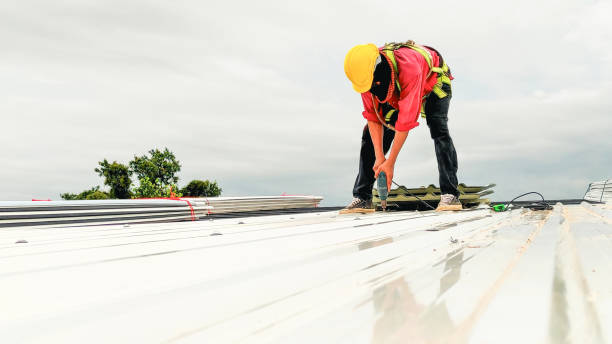 Best Sheet Metal Roofing  in Brewster, NY